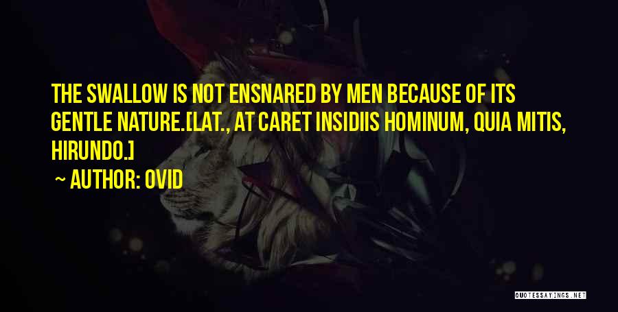 Ovid Quotes: The Swallow Is Not Ensnared By Men Because Of Its Gentle Nature.[lat., At Caret Insidiis Hominum, Quia Mitis, Hirundo.]