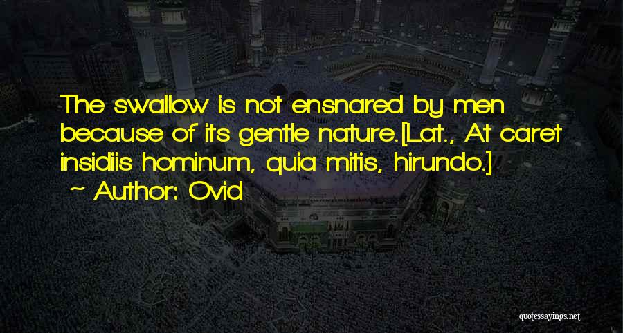 Ovid Quotes: The Swallow Is Not Ensnared By Men Because Of Its Gentle Nature.[lat., At Caret Insidiis Hominum, Quia Mitis, Hirundo.]