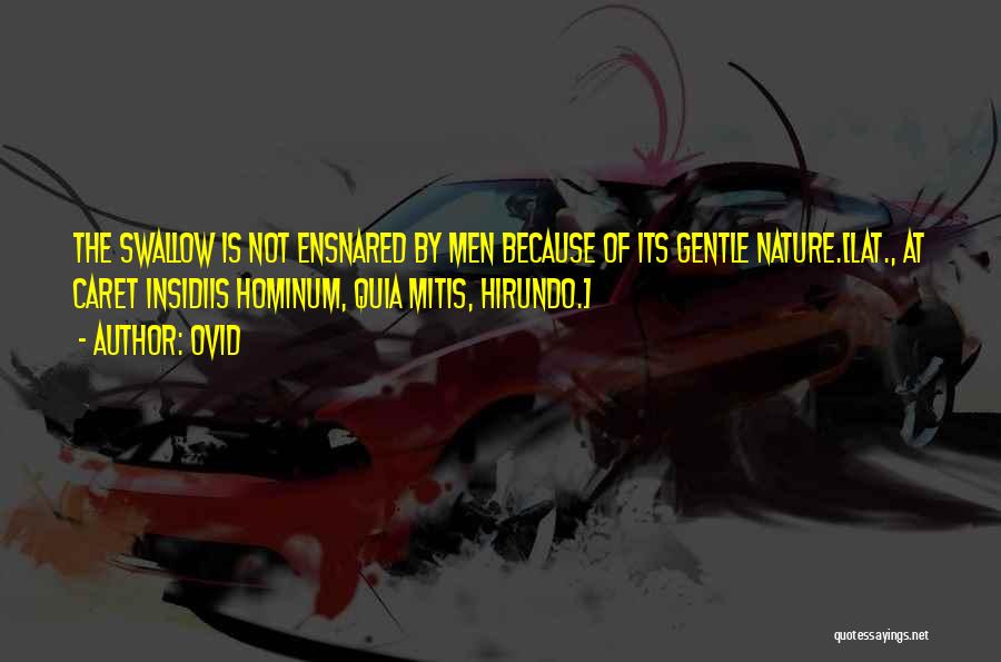 Ovid Quotes: The Swallow Is Not Ensnared By Men Because Of Its Gentle Nature.[lat., At Caret Insidiis Hominum, Quia Mitis, Hirundo.]