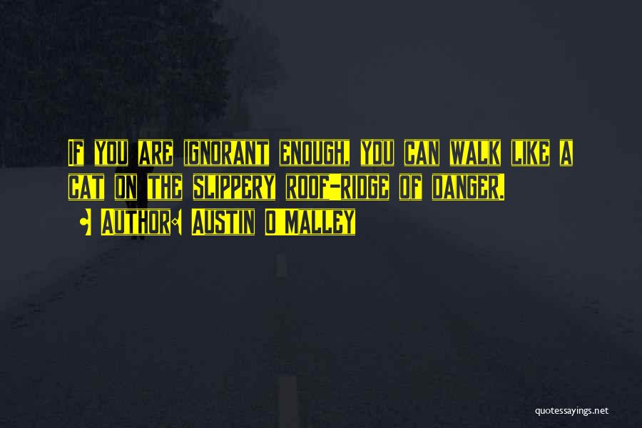 Austin O'Malley Quotes: If You Are Ignorant Enough, You Can Walk Like A Cat On The Slippery Roof-ridge Of Danger.
