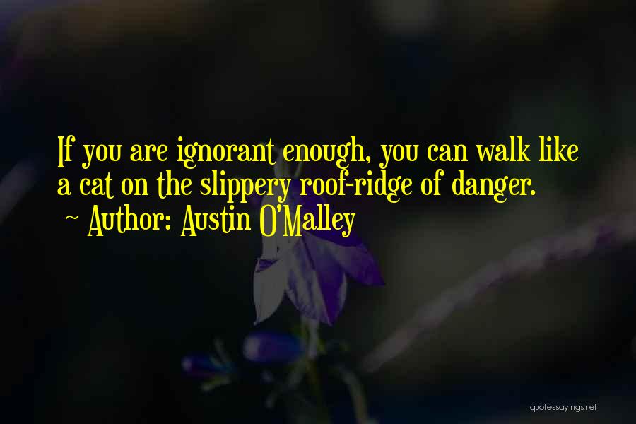 Austin O'Malley Quotes: If You Are Ignorant Enough, You Can Walk Like A Cat On The Slippery Roof-ridge Of Danger.
