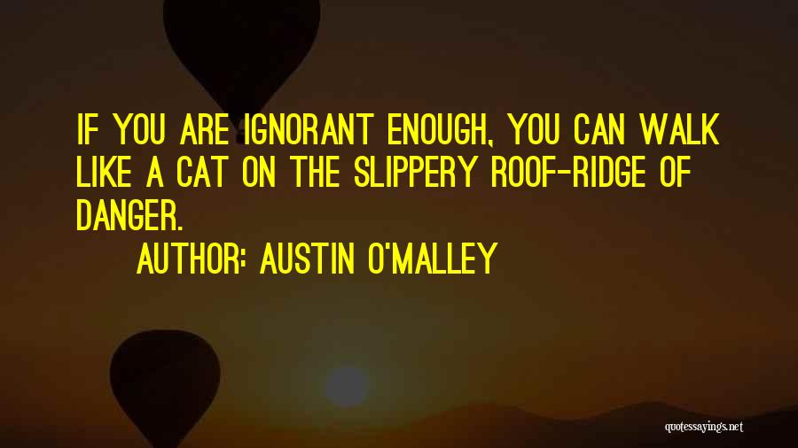 Austin O'Malley Quotes: If You Are Ignorant Enough, You Can Walk Like A Cat On The Slippery Roof-ridge Of Danger.