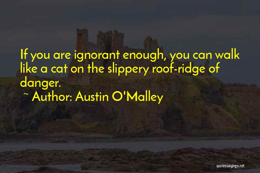 Austin O'Malley Quotes: If You Are Ignorant Enough, You Can Walk Like A Cat On The Slippery Roof-ridge Of Danger.
