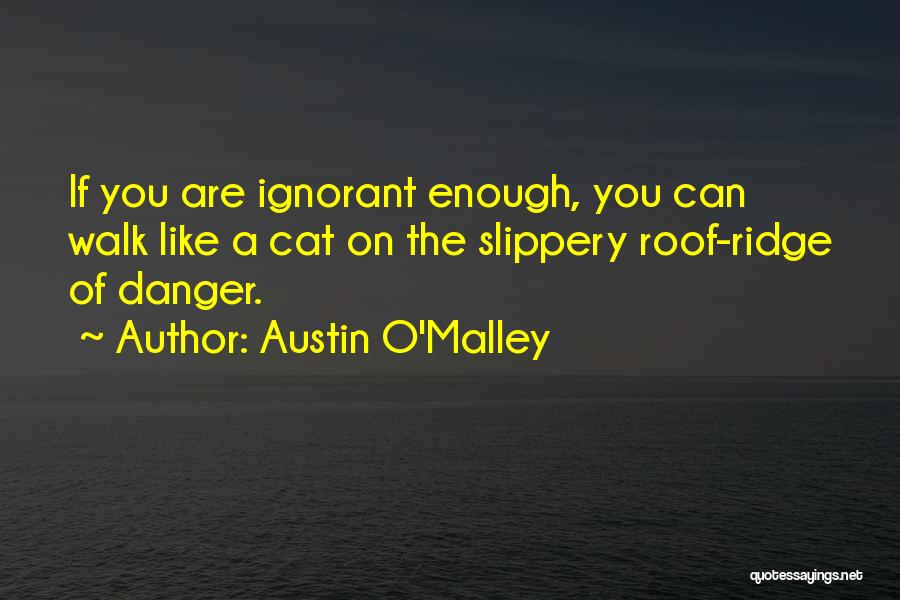 Austin O'Malley Quotes: If You Are Ignorant Enough, You Can Walk Like A Cat On The Slippery Roof-ridge Of Danger.