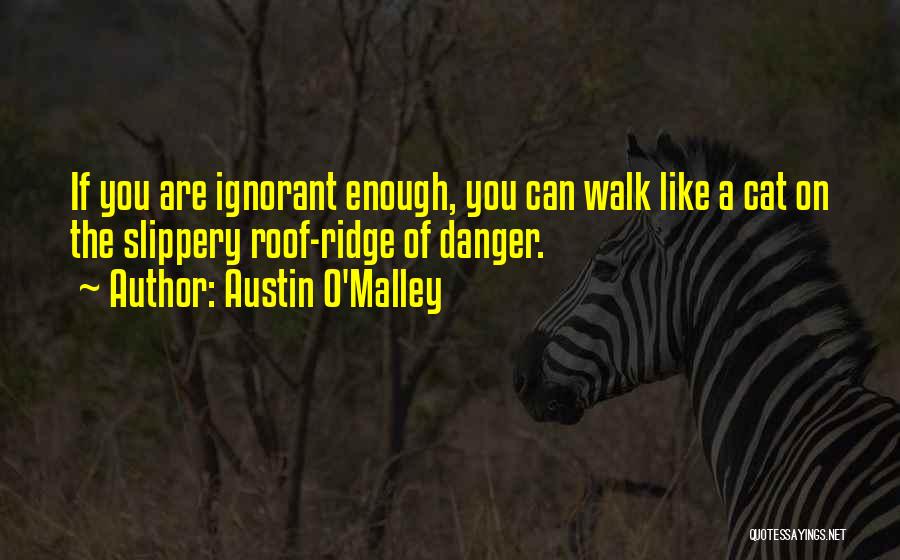 Austin O'Malley Quotes: If You Are Ignorant Enough, You Can Walk Like A Cat On The Slippery Roof-ridge Of Danger.