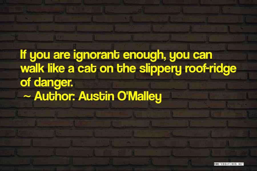 Austin O'Malley Quotes: If You Are Ignorant Enough, You Can Walk Like A Cat On The Slippery Roof-ridge Of Danger.