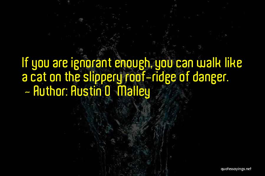 Austin O'Malley Quotes: If You Are Ignorant Enough, You Can Walk Like A Cat On The Slippery Roof-ridge Of Danger.