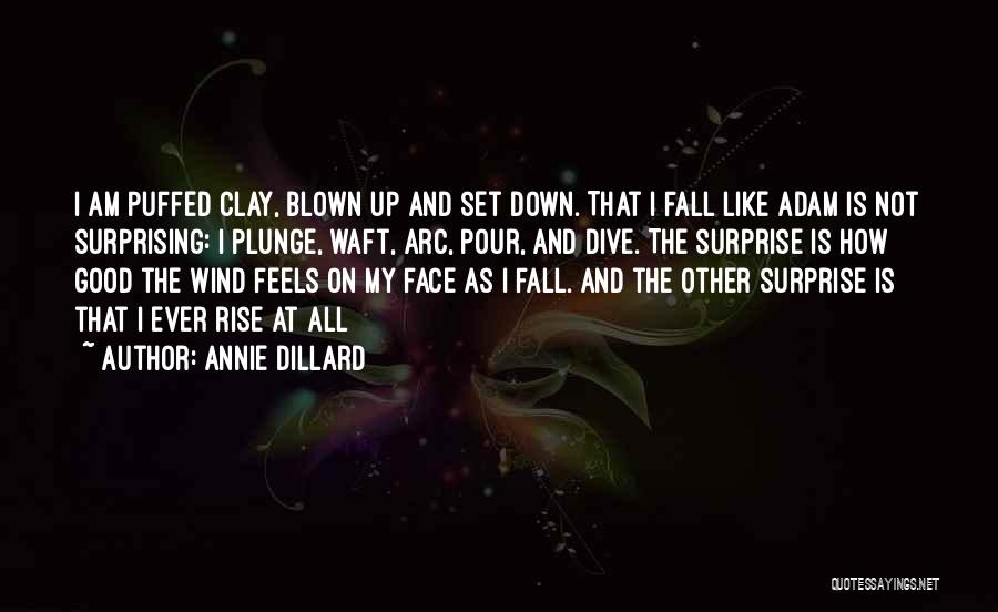 Annie Dillard Quotes: I Am Puffed Clay, Blown Up And Set Down. That I Fall Like Adam Is Not Surprising: I Plunge, Waft,