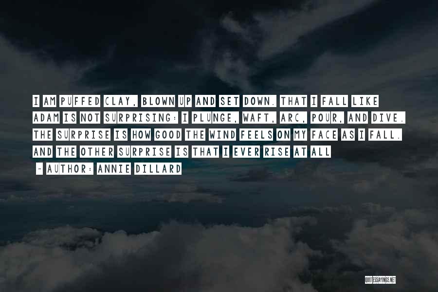 Annie Dillard Quotes: I Am Puffed Clay, Blown Up And Set Down. That I Fall Like Adam Is Not Surprising: I Plunge, Waft,