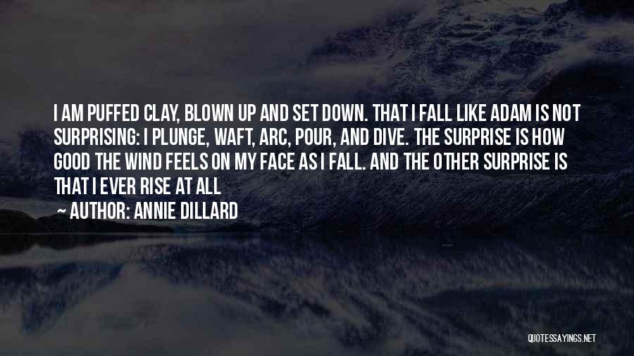 Annie Dillard Quotes: I Am Puffed Clay, Blown Up And Set Down. That I Fall Like Adam Is Not Surprising: I Plunge, Waft,