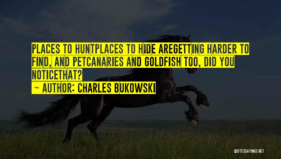 Charles Bukowski Quotes: Places To Huntplaces To Hide Aregetting Harder To Find, And Petcanaries And Goldfish Too, Did You Noticethat?