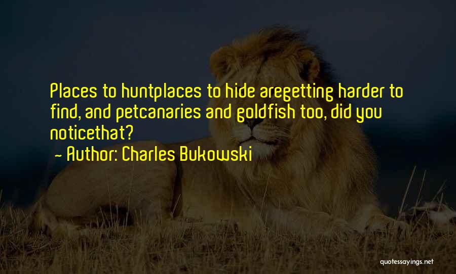 Charles Bukowski Quotes: Places To Huntplaces To Hide Aregetting Harder To Find, And Petcanaries And Goldfish Too, Did You Noticethat?