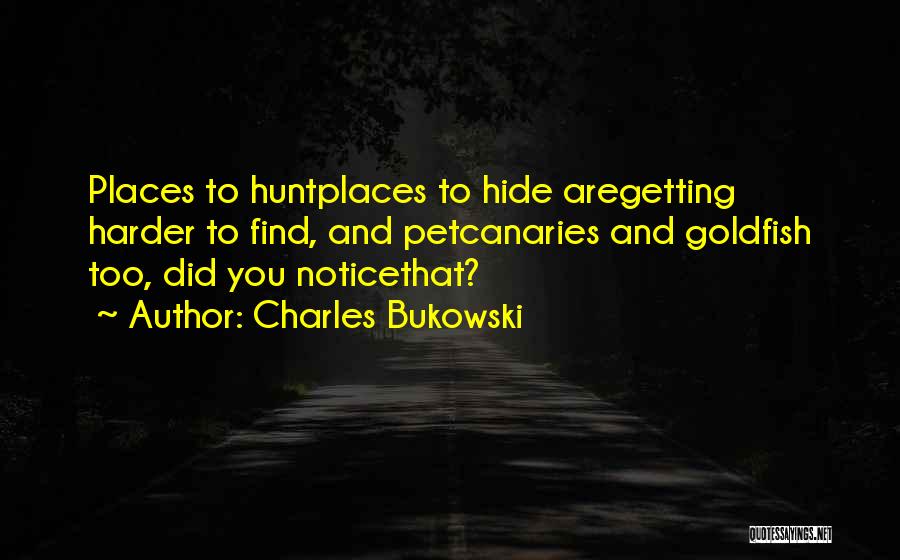 Charles Bukowski Quotes: Places To Huntplaces To Hide Aregetting Harder To Find, And Petcanaries And Goldfish Too, Did You Noticethat?