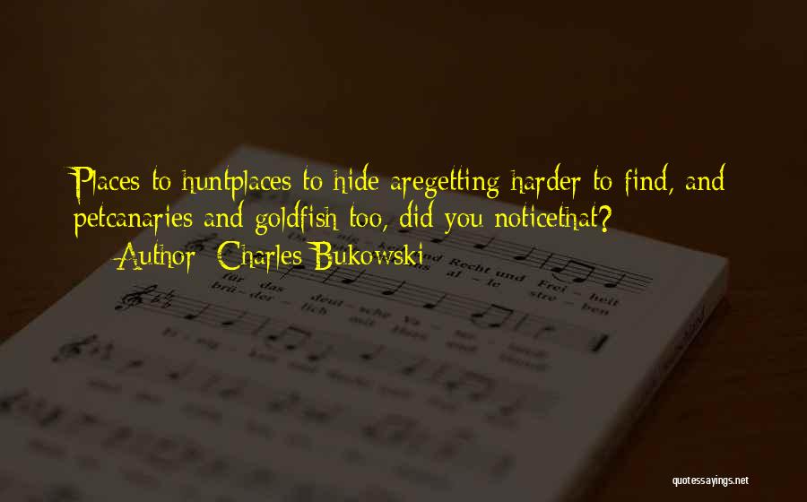 Charles Bukowski Quotes: Places To Huntplaces To Hide Aregetting Harder To Find, And Petcanaries And Goldfish Too, Did You Noticethat?