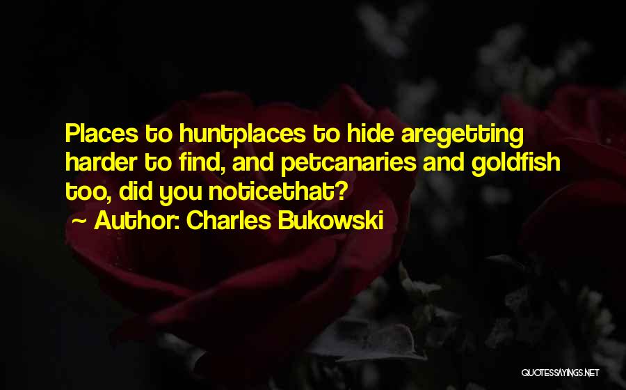 Charles Bukowski Quotes: Places To Huntplaces To Hide Aregetting Harder To Find, And Petcanaries And Goldfish Too, Did You Noticethat?