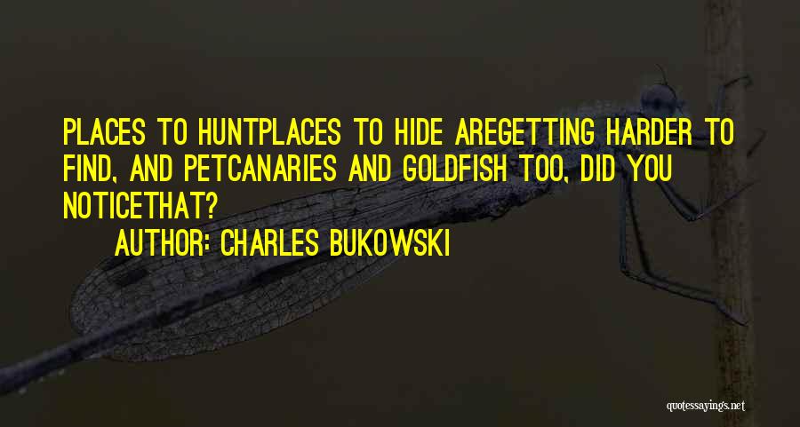 Charles Bukowski Quotes: Places To Huntplaces To Hide Aregetting Harder To Find, And Petcanaries And Goldfish Too, Did You Noticethat?