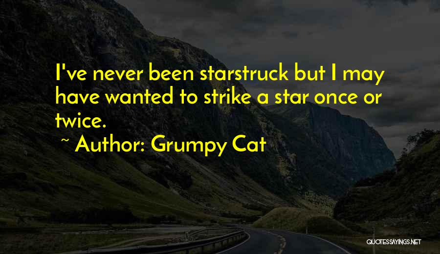 Grumpy Cat Quotes: I've Never Been Starstruck But I May Have Wanted To Strike A Star Once Or Twice.