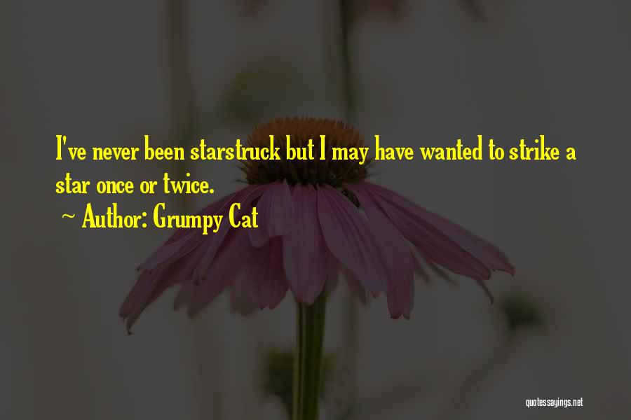 Grumpy Cat Quotes: I've Never Been Starstruck But I May Have Wanted To Strike A Star Once Or Twice.