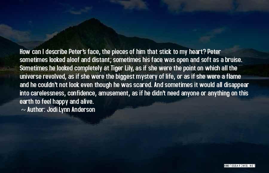 Jodi Lynn Anderson Quotes: How Can I Describe Peter's Face, The Pieces Of Him That Stick To My Heart? Peter Sometimes Looked Aloof And