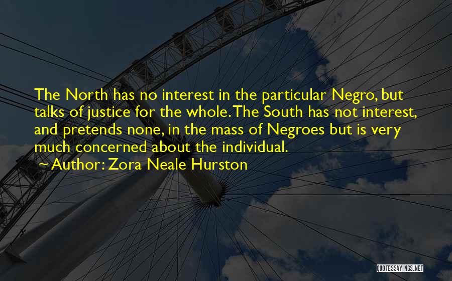 Zora Neale Hurston Quotes: The North Has No Interest In The Particular Negro, But Talks Of Justice For The Whole. The South Has Not