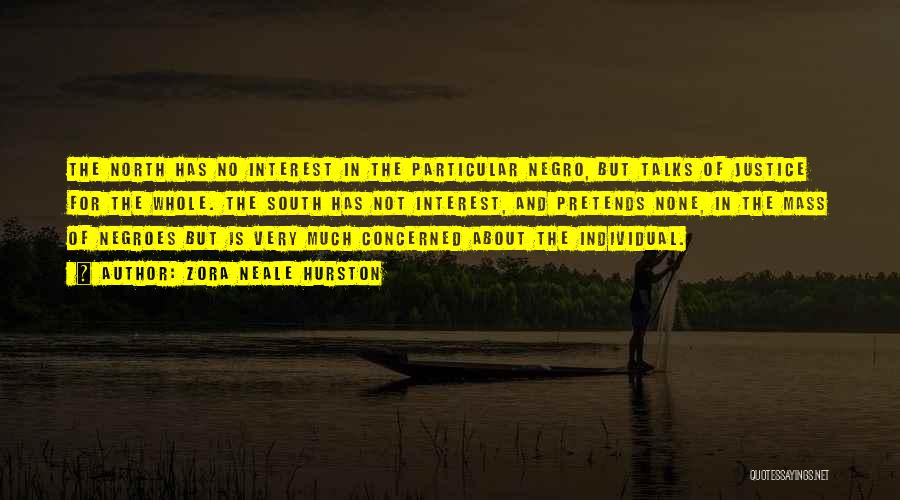Zora Neale Hurston Quotes: The North Has No Interest In The Particular Negro, But Talks Of Justice For The Whole. The South Has Not
