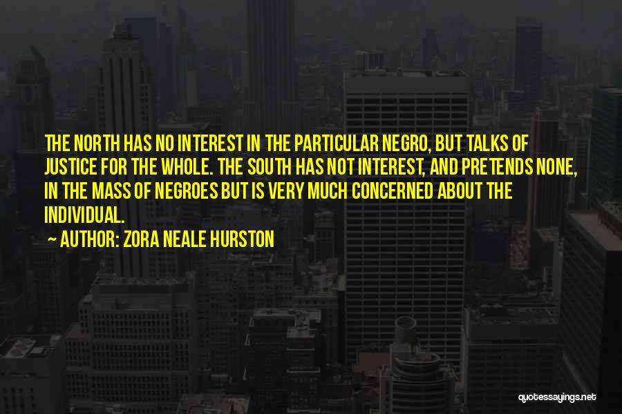 Zora Neale Hurston Quotes: The North Has No Interest In The Particular Negro, But Talks Of Justice For The Whole. The South Has Not