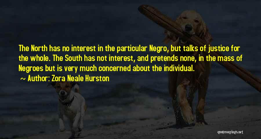Zora Neale Hurston Quotes: The North Has No Interest In The Particular Negro, But Talks Of Justice For The Whole. The South Has Not