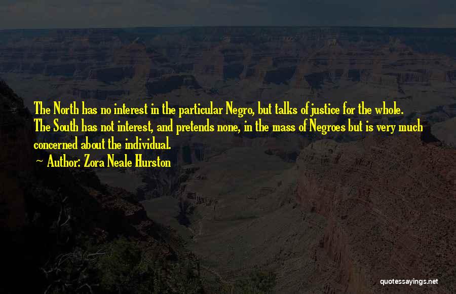 Zora Neale Hurston Quotes: The North Has No Interest In The Particular Negro, But Talks Of Justice For The Whole. The South Has Not