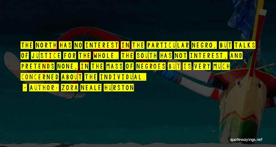 Zora Neale Hurston Quotes: The North Has No Interest In The Particular Negro, But Talks Of Justice For The Whole. The South Has Not