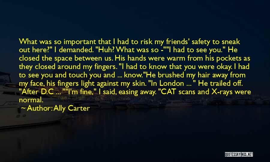 Ally Carter Quotes: What Was So Important That I Had To Risk My Friends' Safety To Sneak Out Here? I Demanded. Huh? What