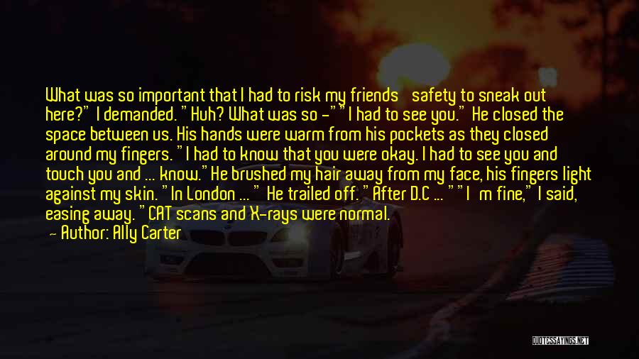 Ally Carter Quotes: What Was So Important That I Had To Risk My Friends' Safety To Sneak Out Here? I Demanded. Huh? What