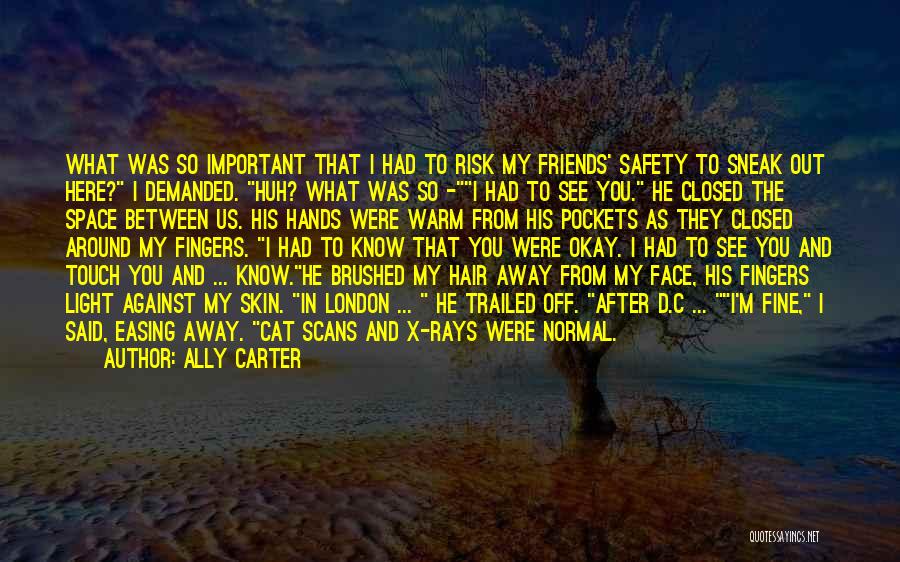 Ally Carter Quotes: What Was So Important That I Had To Risk My Friends' Safety To Sneak Out Here? I Demanded. Huh? What