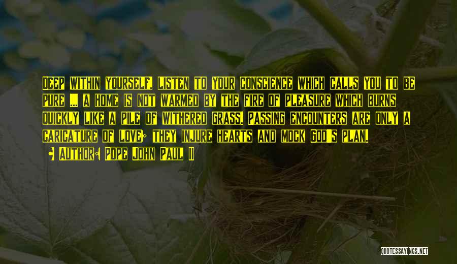 Pope John Paul II Quotes: Deep Within Yourself, Listen To Your Conscience Which Calls You To Be Pure ... A Home Is Not Warmed By