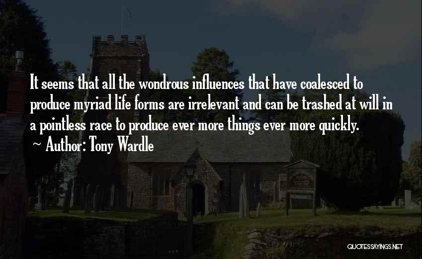 Tony Wardle Quotes: It Seems That All The Wondrous Influences That Have Coalesced To Produce Myriad Life Forms Are Irrelevant And Can Be