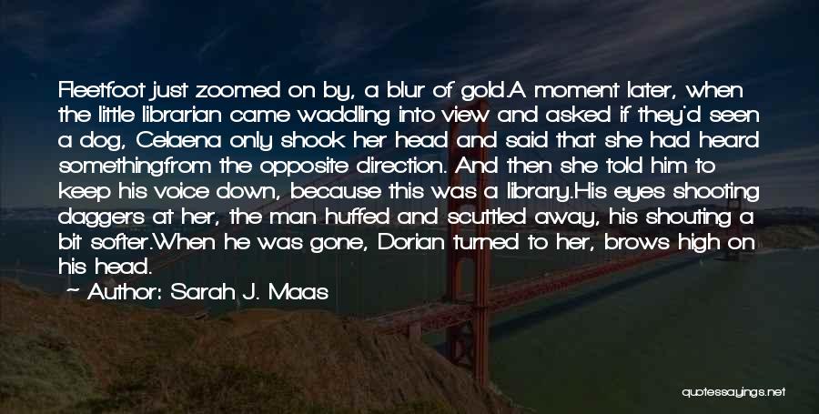 Sarah J. Maas Quotes: Fleetfoot Just Zoomed On By, A Blur Of Gold.a Moment Later, When The Little Librarian Came Waddling Into View And