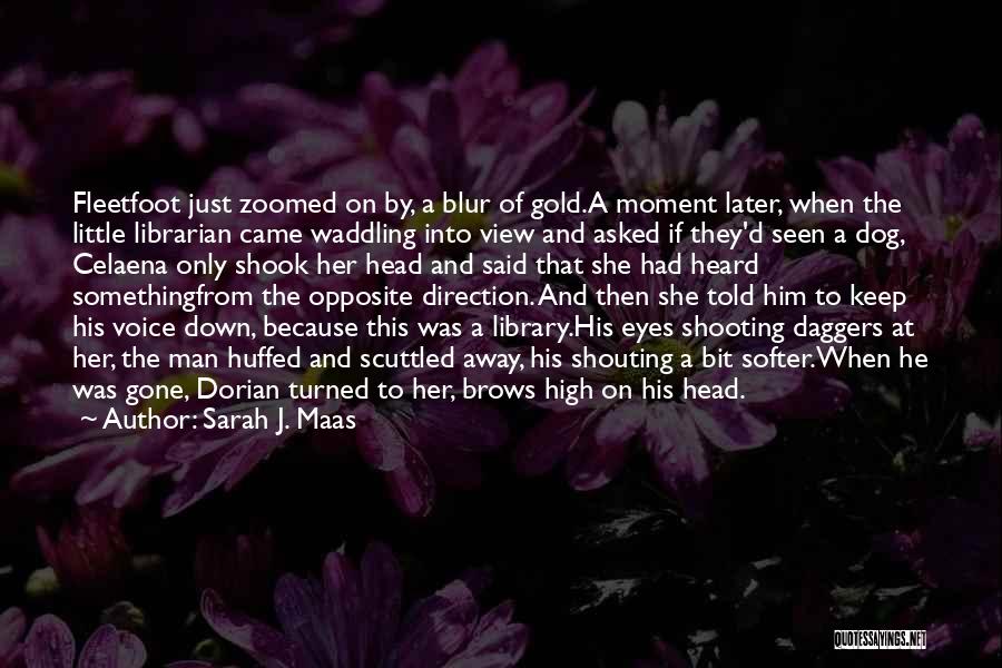 Sarah J. Maas Quotes: Fleetfoot Just Zoomed On By, A Blur Of Gold.a Moment Later, When The Little Librarian Came Waddling Into View And