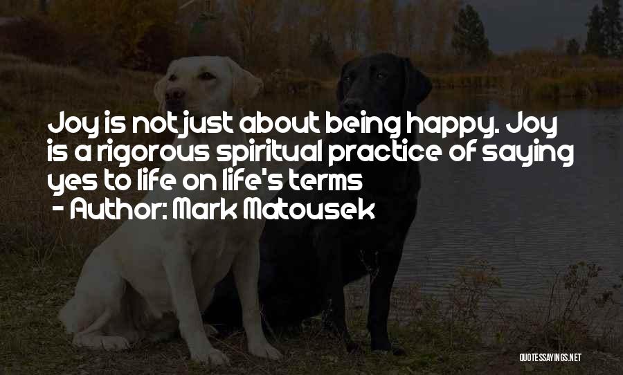Mark Matousek Quotes: Joy Is Not Just About Being Happy. Joy Is A Rigorous Spiritual Practice Of Saying Yes To Life On Life's