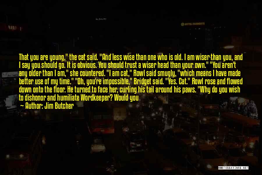 Jim Butcher Quotes: That You Are Young, The Cat Said. And Less Wise Than One Who Is Old. I Am Wiser Than You,