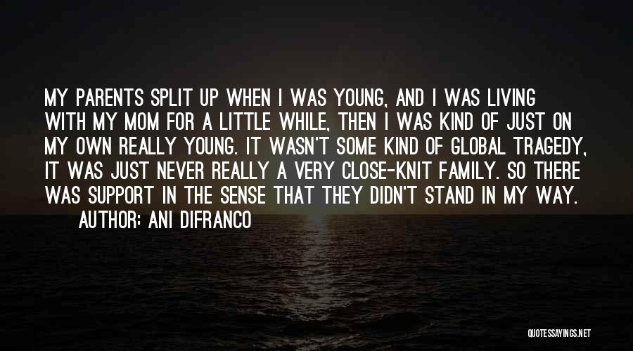 Ani DiFranco Quotes: My Parents Split Up When I Was Young, And I Was Living With My Mom For A Little While, Then