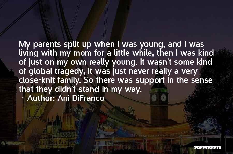 Ani DiFranco Quotes: My Parents Split Up When I Was Young, And I Was Living With My Mom For A Little While, Then