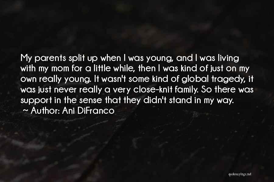 Ani DiFranco Quotes: My Parents Split Up When I Was Young, And I Was Living With My Mom For A Little While, Then