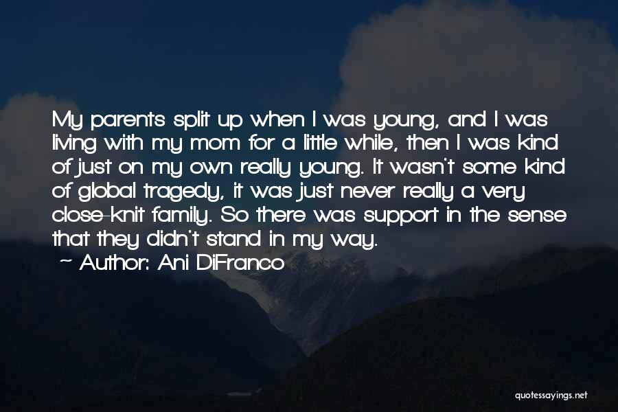 Ani DiFranco Quotes: My Parents Split Up When I Was Young, And I Was Living With My Mom For A Little While, Then