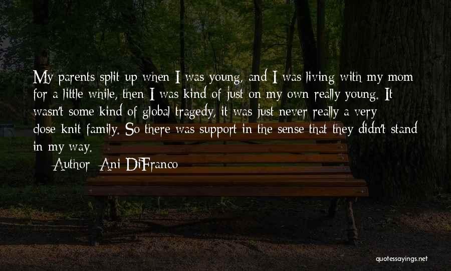 Ani DiFranco Quotes: My Parents Split Up When I Was Young, And I Was Living With My Mom For A Little While, Then