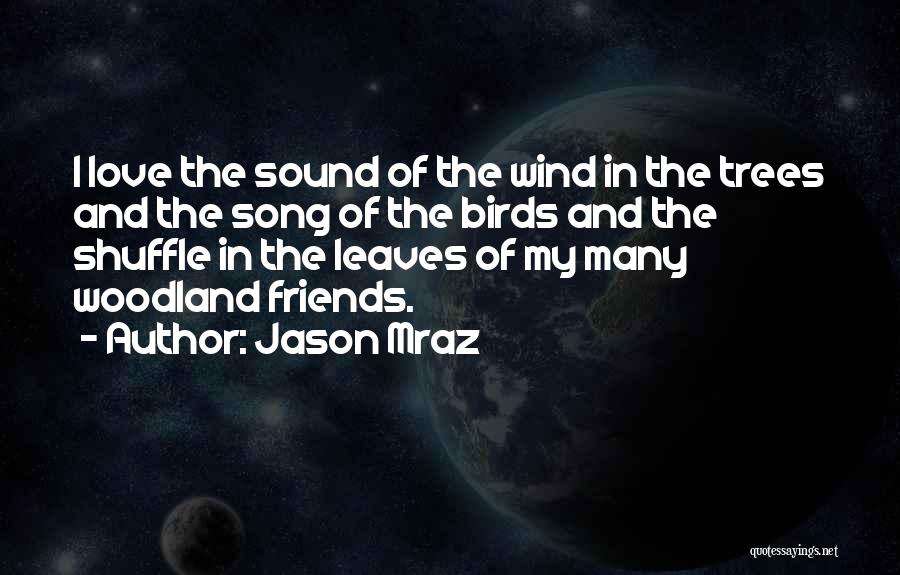 Jason Mraz Quotes: I Love The Sound Of The Wind In The Trees And The Song Of The Birds And The Shuffle In