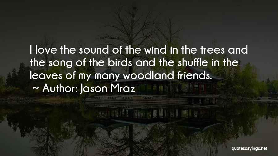 Jason Mraz Quotes: I Love The Sound Of The Wind In The Trees And The Song Of The Birds And The Shuffle In