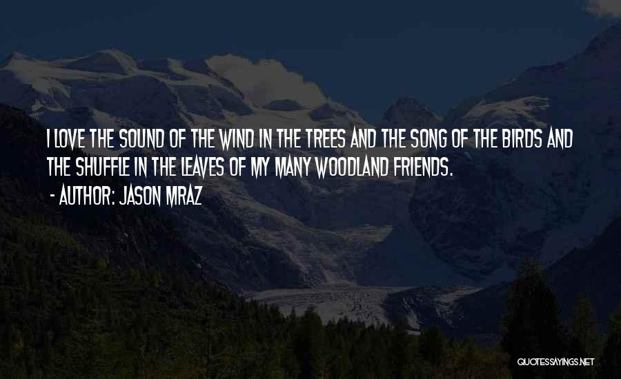 Jason Mraz Quotes: I Love The Sound Of The Wind In The Trees And The Song Of The Birds And The Shuffle In