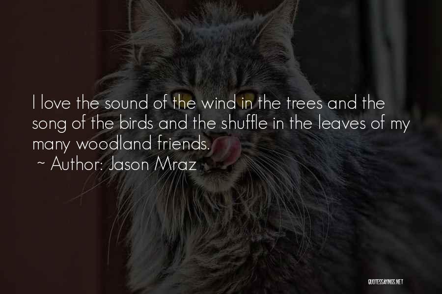 Jason Mraz Quotes: I Love The Sound Of The Wind In The Trees And The Song Of The Birds And The Shuffle In