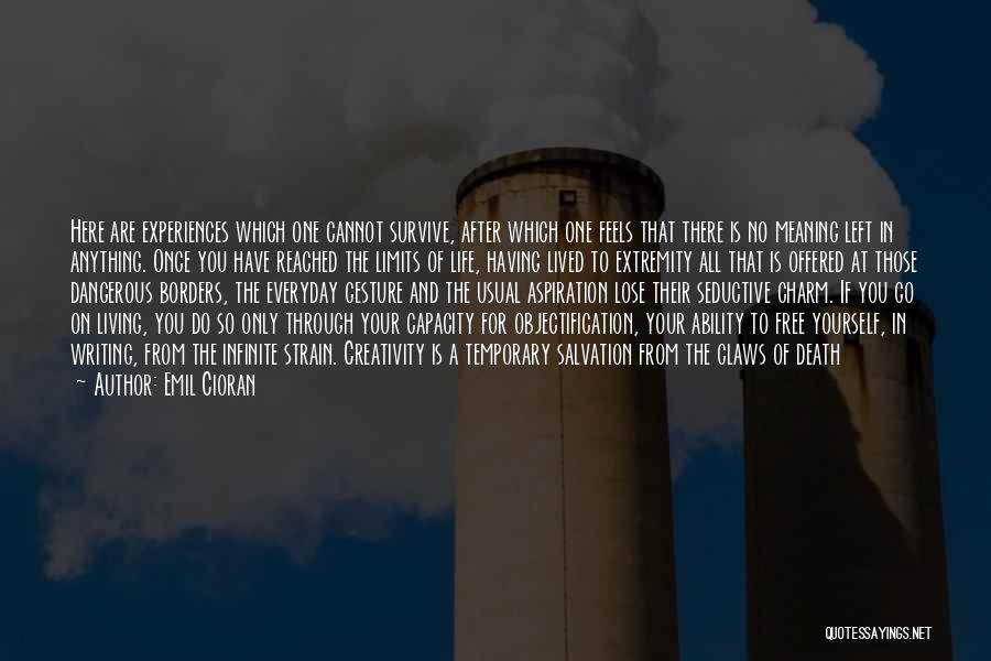 Emil Cioran Quotes: Here Are Experiences Which One Cannot Survive, After Which One Feels That There Is No Meaning Left In Anything. Once