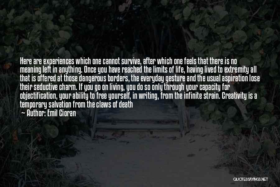 Emil Cioran Quotes: Here Are Experiences Which One Cannot Survive, After Which One Feels That There Is No Meaning Left In Anything. Once