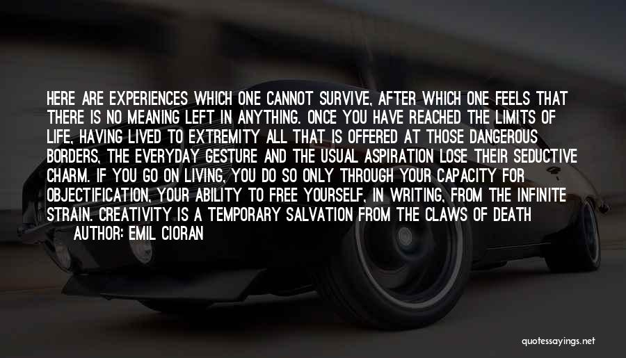 Emil Cioran Quotes: Here Are Experiences Which One Cannot Survive, After Which One Feels That There Is No Meaning Left In Anything. Once